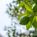 בית הארחה Guestready - Rosemary's Lovely With A Garden פורטו