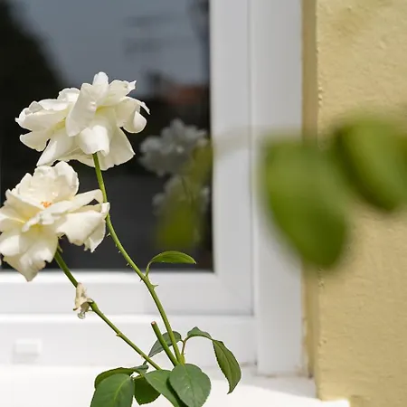 Guestready - Rosemary's Lovely With A Garden 4*