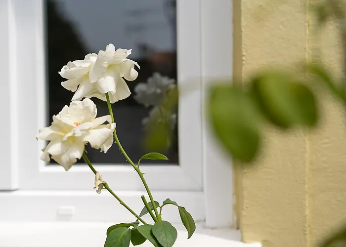 Guestready - Rosemary's Lovely With A Garden 4*